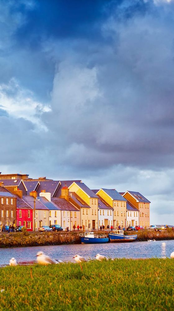 Colorful houses line a waterfront under a dramatic cloudy sky, with seagulls on the grass and moored boats in the water.