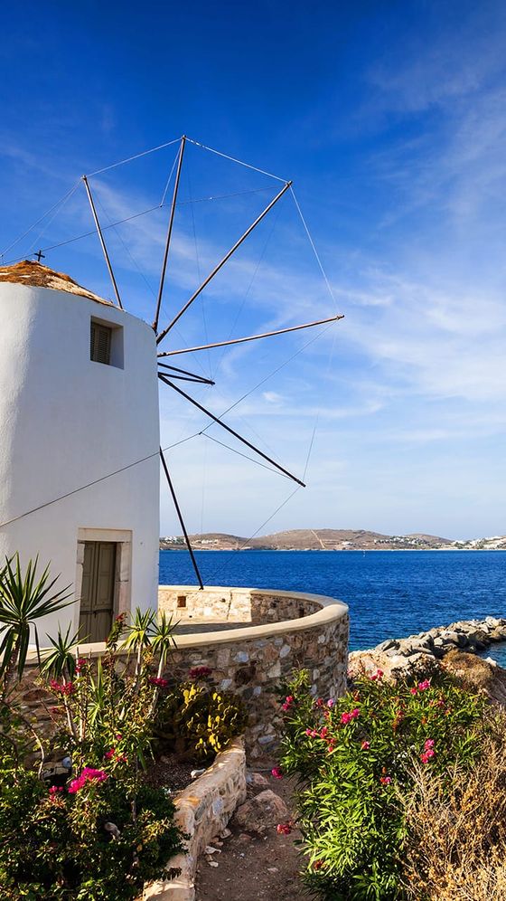 A traditional windmill by the sea with a stone wall and colorful flowers in the foreground, against a clear blue sky.