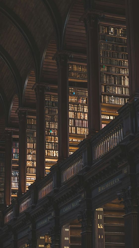 Dimly lit, grand library with tall, arched shelves packed with books, under an ornate wooden ceiling.