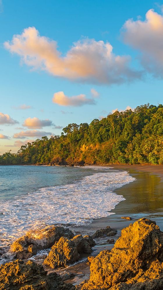 Golden sunlit beach with gentle waves, rocky shoreline, and lush green trees under a sky dotted with fluffy clouds.