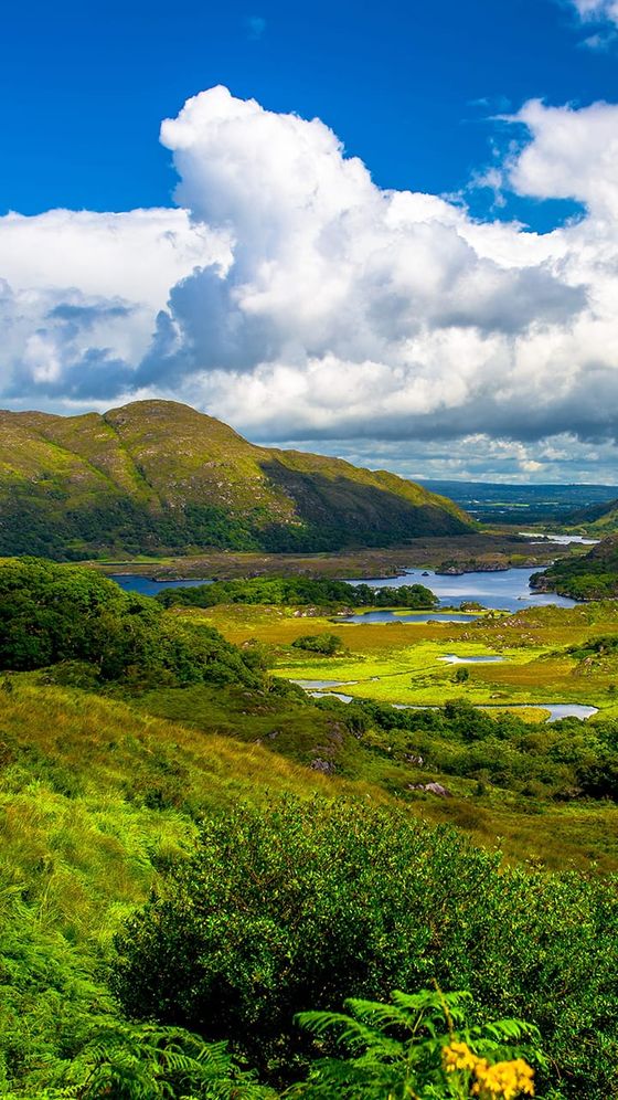 Lush green landscape with hills, a lake, and bright blue sky with fluffy clouds on a sunny day.
