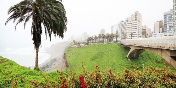 Coastal cityscape with buildings and palm trees on a foggy day, overlooking a lush green cliff and a nearby beach.
