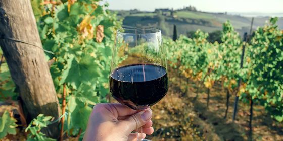 A hand holds a glass of red wine in a vineyard, with lush green grapevines and rolling hills in the background under a clear sky.