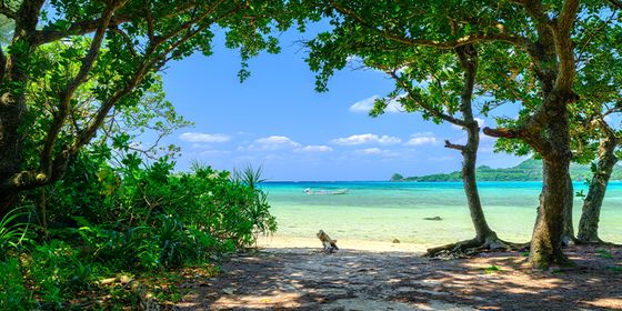 Tropical beach view with turquoise water framed by lush green trees, blue sky, and distant hills.