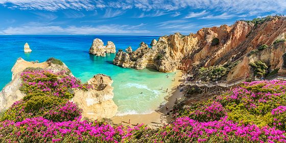 Scenic view of a rocky beach with turquoise water, surrounded by cliffs and vibrant pink flowers under a blue sky with wispy clouds.