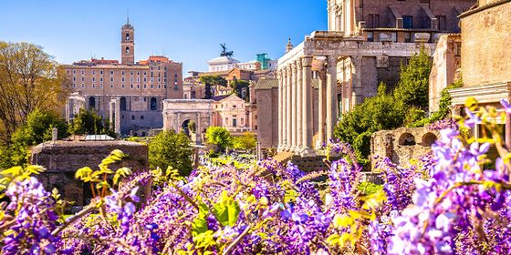 Purple flowers in the foreground with ancient Roman ruins and historic buildings, including columns and a clock tower, under a clear blue sky.