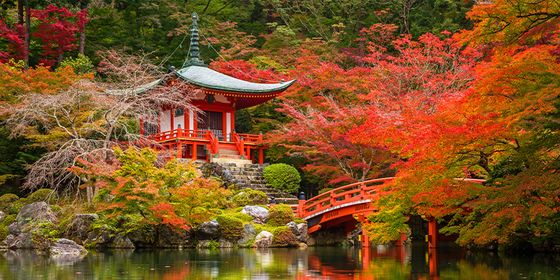 A traditional Japanese temple surrounded by vibrant autumn foliage, with a red arched bridge over a tranquil pond reflecting the scene.