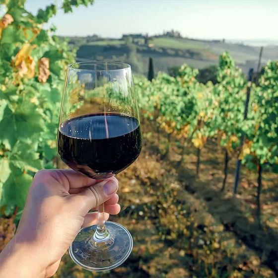 Hand holding a glass of red wine against a backdrop of a vineyard with rolling hills under a clear sky.