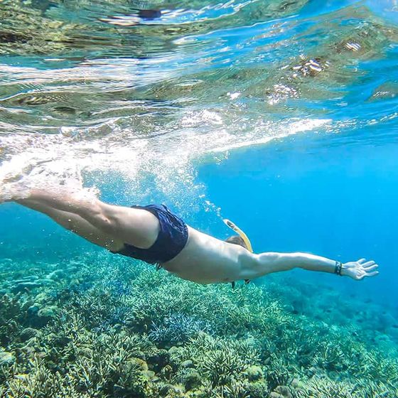 Person snorkeling in clear blue water above a coral reef, wearing a snorkel and swim trunks, with sunlight filtering through the surface.