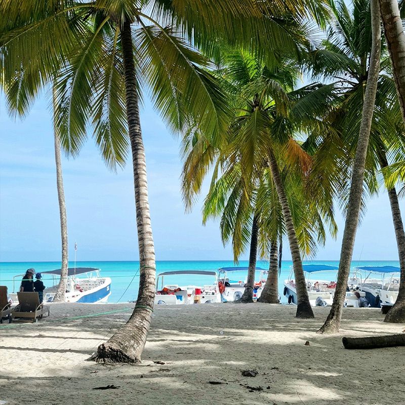 Tropical beach scene with palm trees, boats anchored on turquoise water, and people relaxing on sandy shore under a clear blue sky.