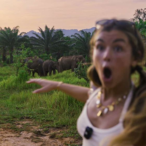 A surprised woman gestures toward elephants grazing in a lush field at sunset, with palm trees and mountains in the background.