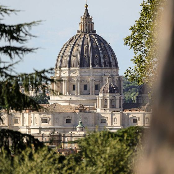 View of St. Peter's Basilica dome framed by trees, under a clear sky, showcasing the Renaissance architecture.