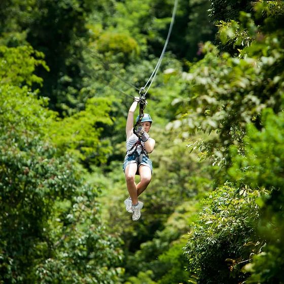 Person zip-lining through a lush green forest, wearing a helmet and harness against a backdrop of dense foliage.