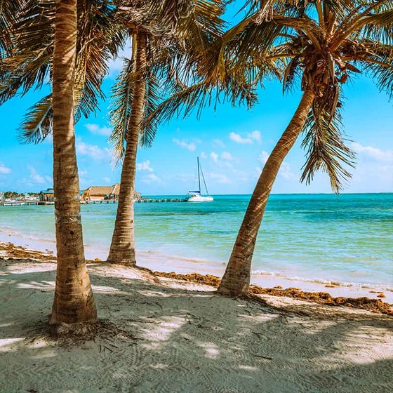 Tropical beach with palm trees, clear turquoise water, a sandy shore, and a sailboat anchored near a distant wooden pier under a blue sky.
