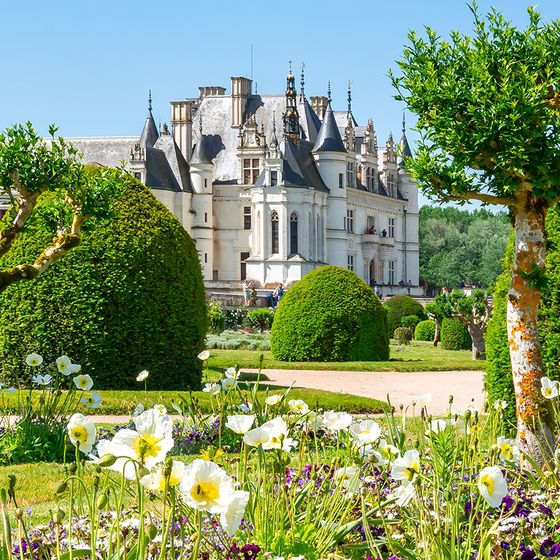 A historic chateau with ornate towers is surrounded by lush gardens, manicured hedges, and blooming white flowers on a sunny day.