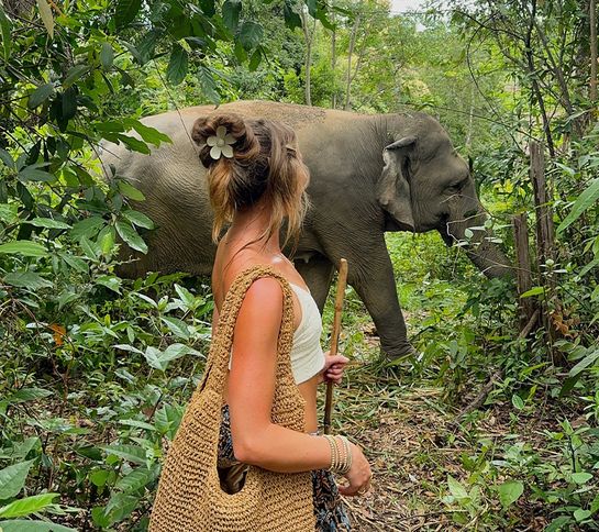 A woman with a woven bag and stick stands in a lush jungle, observing an elephant walking through dense greenery.