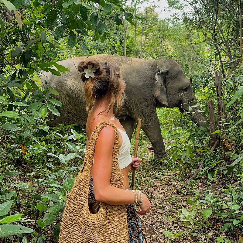 A woman with a woven bag and stick stands in a lush jungle, observing an elephant walking through dense greenery.
