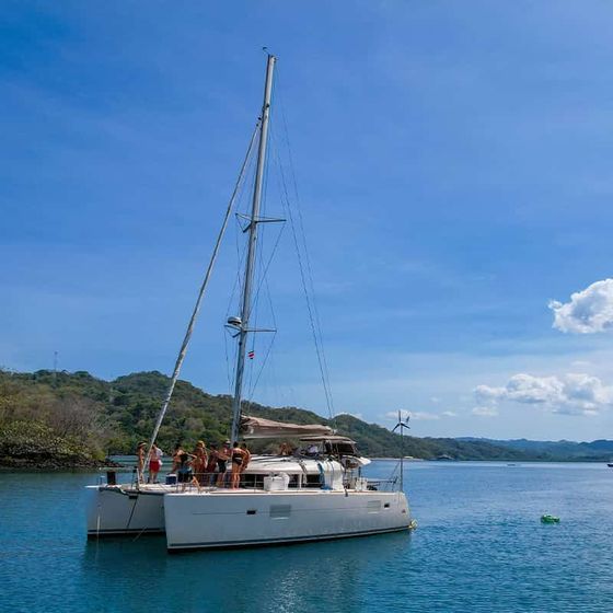A catamaran with people on deck sails on calm blue water, with a lush green hillside and clear blue sky in the background.