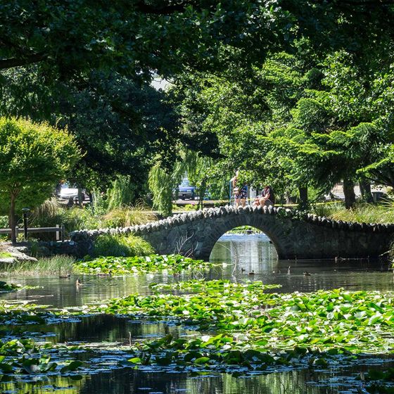A stone bridge arches over a lily-covered pond, surrounded by lush green trees, with people walking on the bridge under a sunny sky.