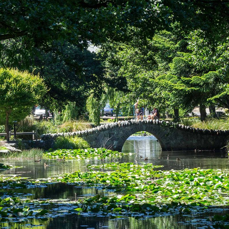 A stone bridge arches over a lily-covered pond, surrounded by lush green trees, with people walking on the bridge under a sunny sky.