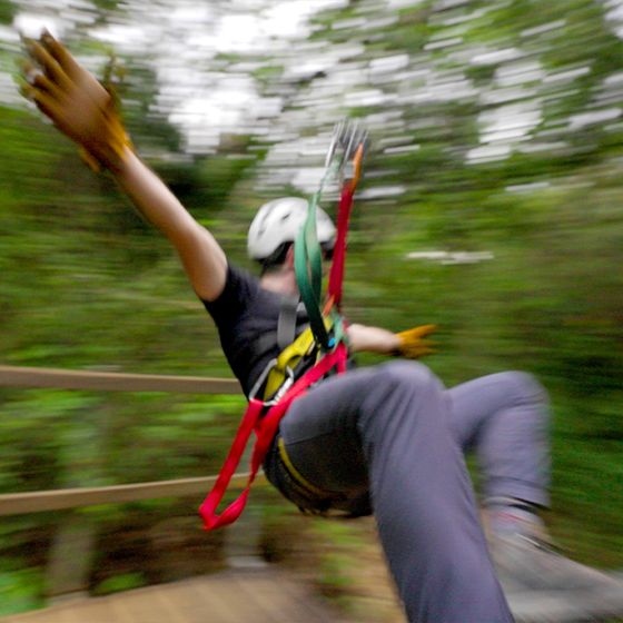 Person zip-lining through lush forest, motion blur emphasizes speed. Wearing safety gear: helmet, harness, gloves, and casual attire.