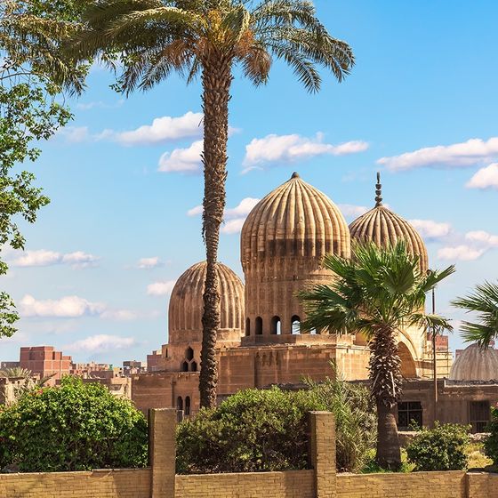 Historic mosque with intricate domes surrounded by palm trees and greenery under a bright blue sky with a few clouds.