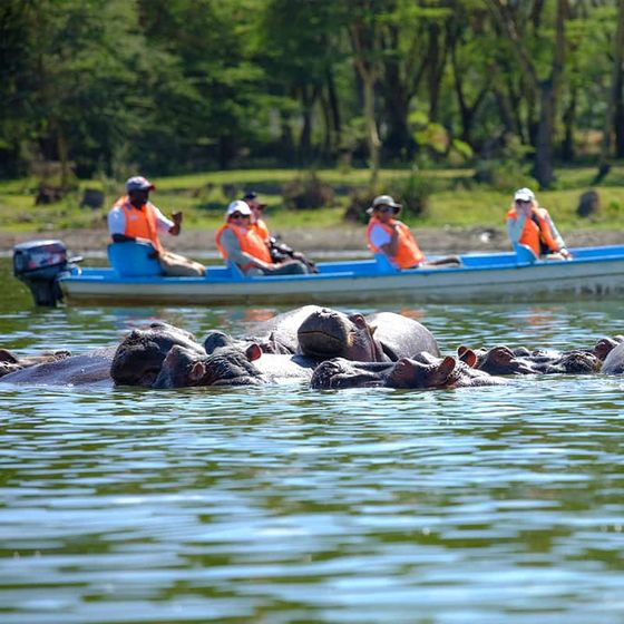 Group of hippos submerged in water with people in life jackets observing from a boat in the background on a sunny day.