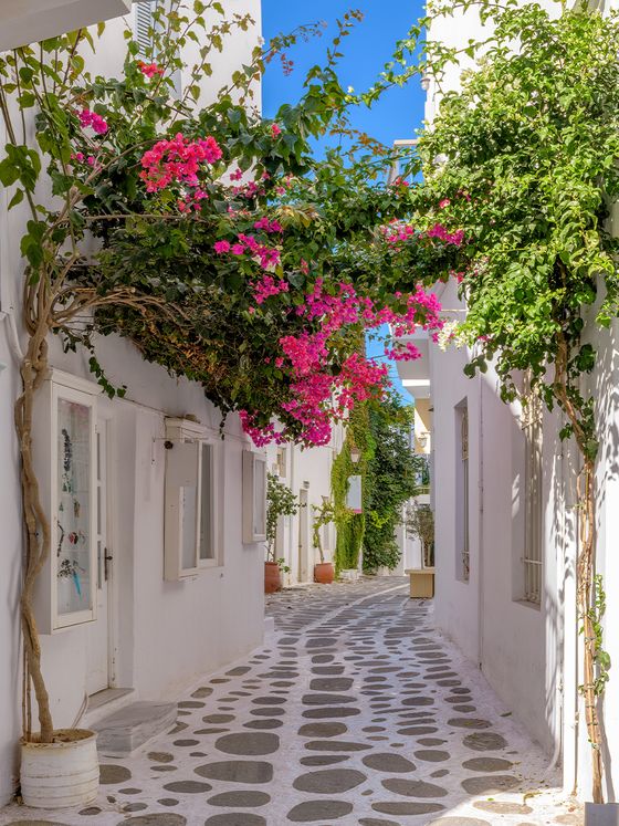 Narrow, sunlit alley with white buildings, vibrant pink bougainvillea, and patterned cobblestone path beneath a clear blue sky.
