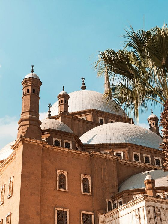 Historic mosque with ornate domes and minarets against a clear blue sky, framed by a palm tree.
