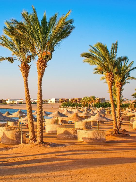 Sandy beach with palm trees and straw umbrellas facing calm blue water under a clear sky, and buildings in the background.