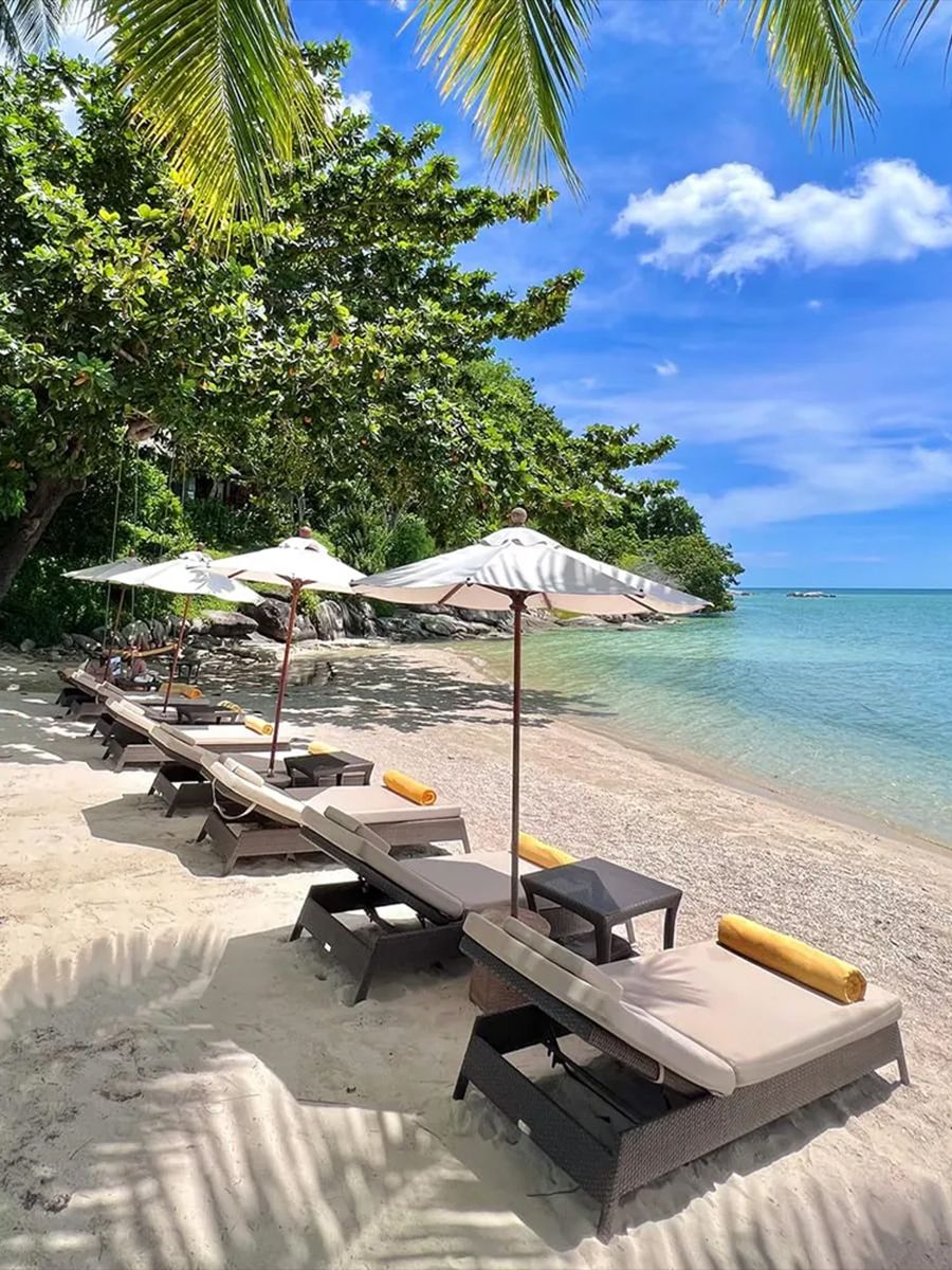 A serene beach scene with lounge chairs under umbrellas, shaded by palm trees, facing clear blue water and a sunny, partly cloudy sky.