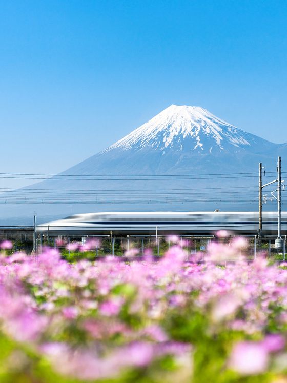 A bullet train speeds past pink flowers with snow-capped Mount Fuji in the background under a clear blue sky.
