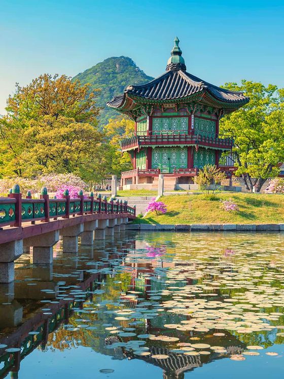 A traditional pagoda with vibrant colors stands by a pond covered in lily pads, surrounded by lush trees and a mountainous backdrop.