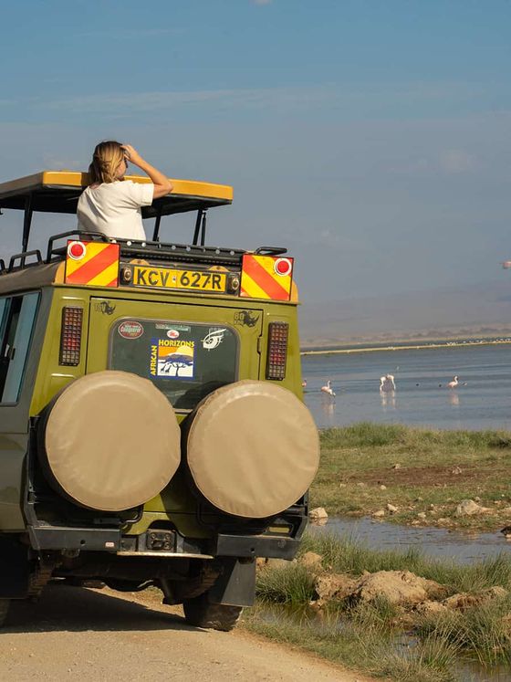Person standing in a safari vehicle, looking at flamingos by a waterbody in a grassy landscape under a clear blue sky.