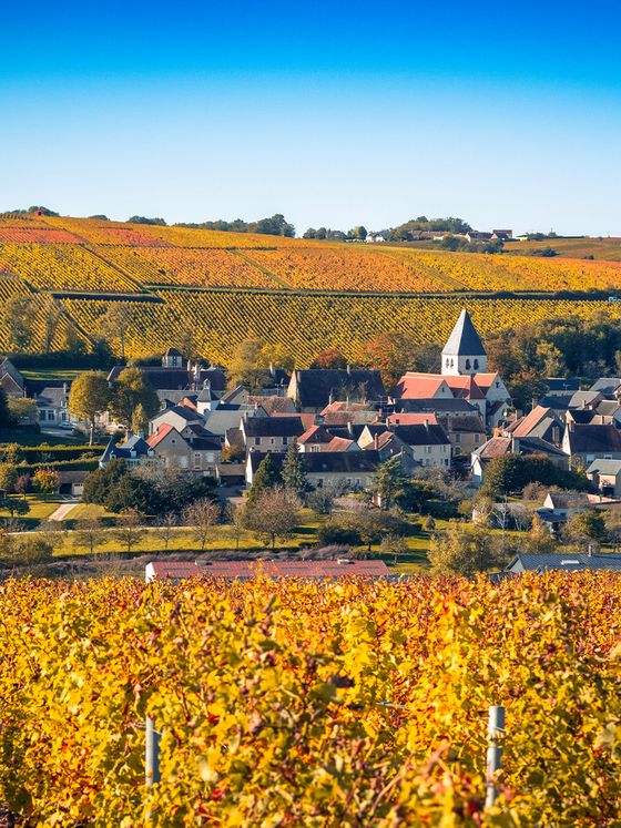 A picturesque village surrounded by vibrant autumn vineyards under a clear blue sky.