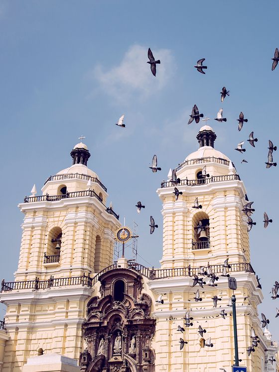 A historic church with twin towers and ornate façade under a clear sky, surrounded by flying pigeons.