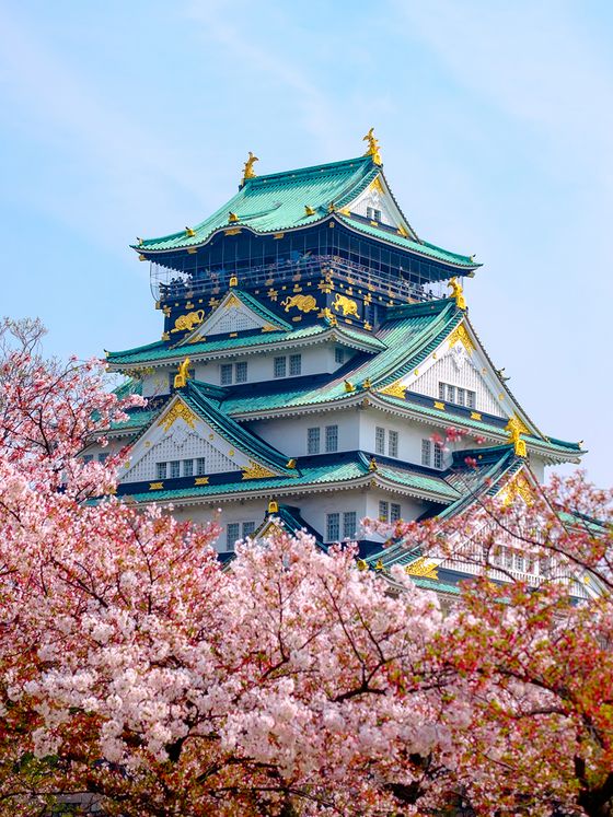 A traditional Japanese castle with teal rooftops and golden accents, framed by blooming pink cherry blossoms under a clear blue sky.