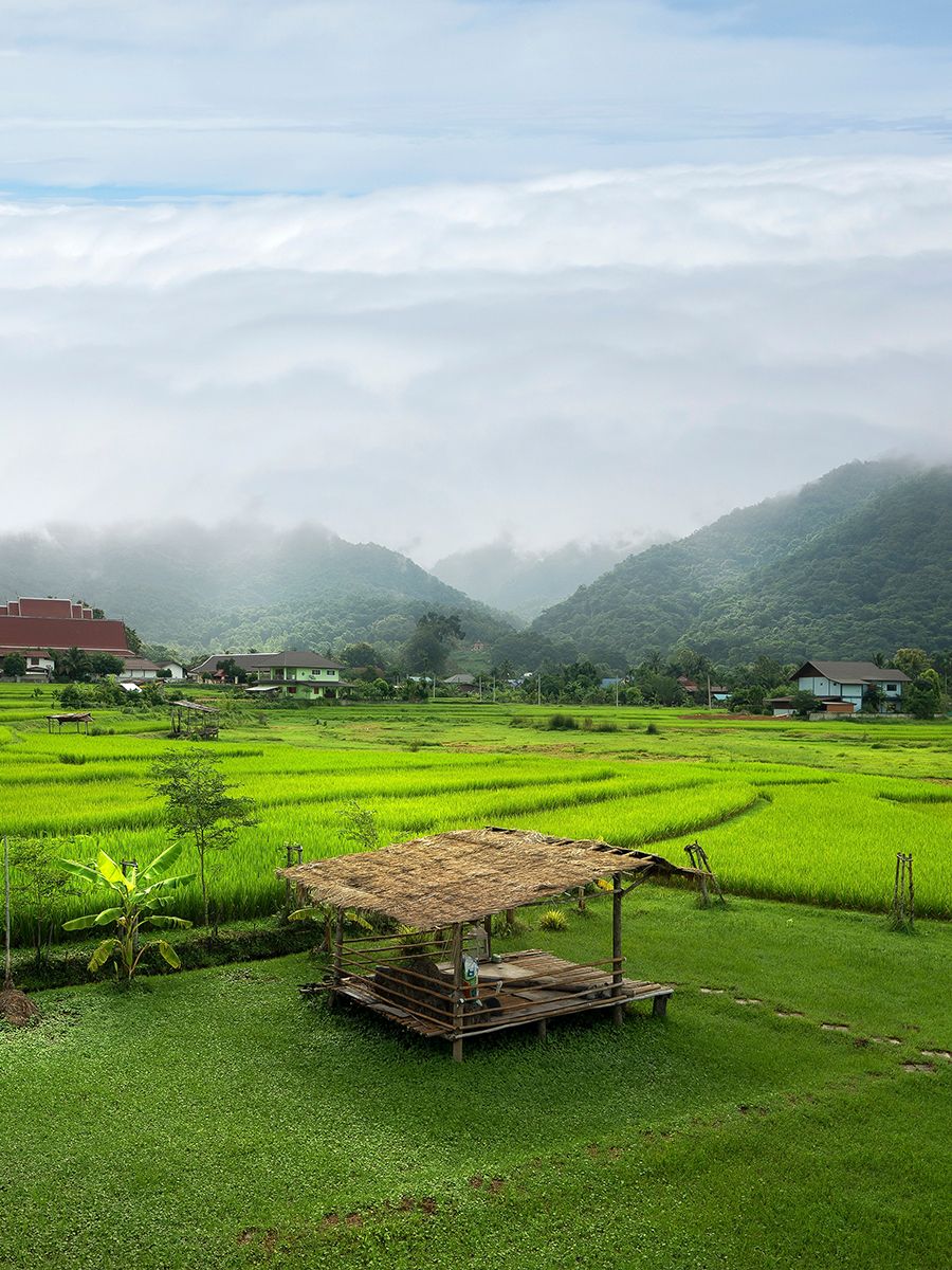 A wooden hut stands amidst vibrant green rice paddies, with mist-covered mountains and a cloudy blue sky in the background.