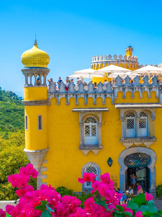 Colorful yellow castle with domed turret, surrounded by greenery and vibrant pink flowers, under a clear blue sky.