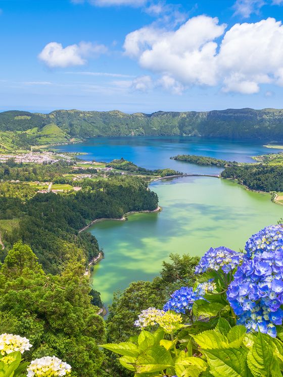 Scenic view of Sete Cidades with blue hydrangeas, green hills, and a vibrant blue sky in the Azores, Portugal.