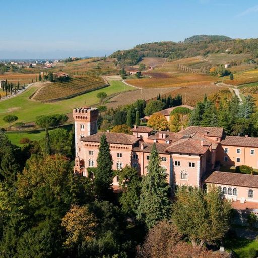 Aerial view of a historic castle surrounded by lush greenery and rolling hills with vineyards under a clear blue sky.