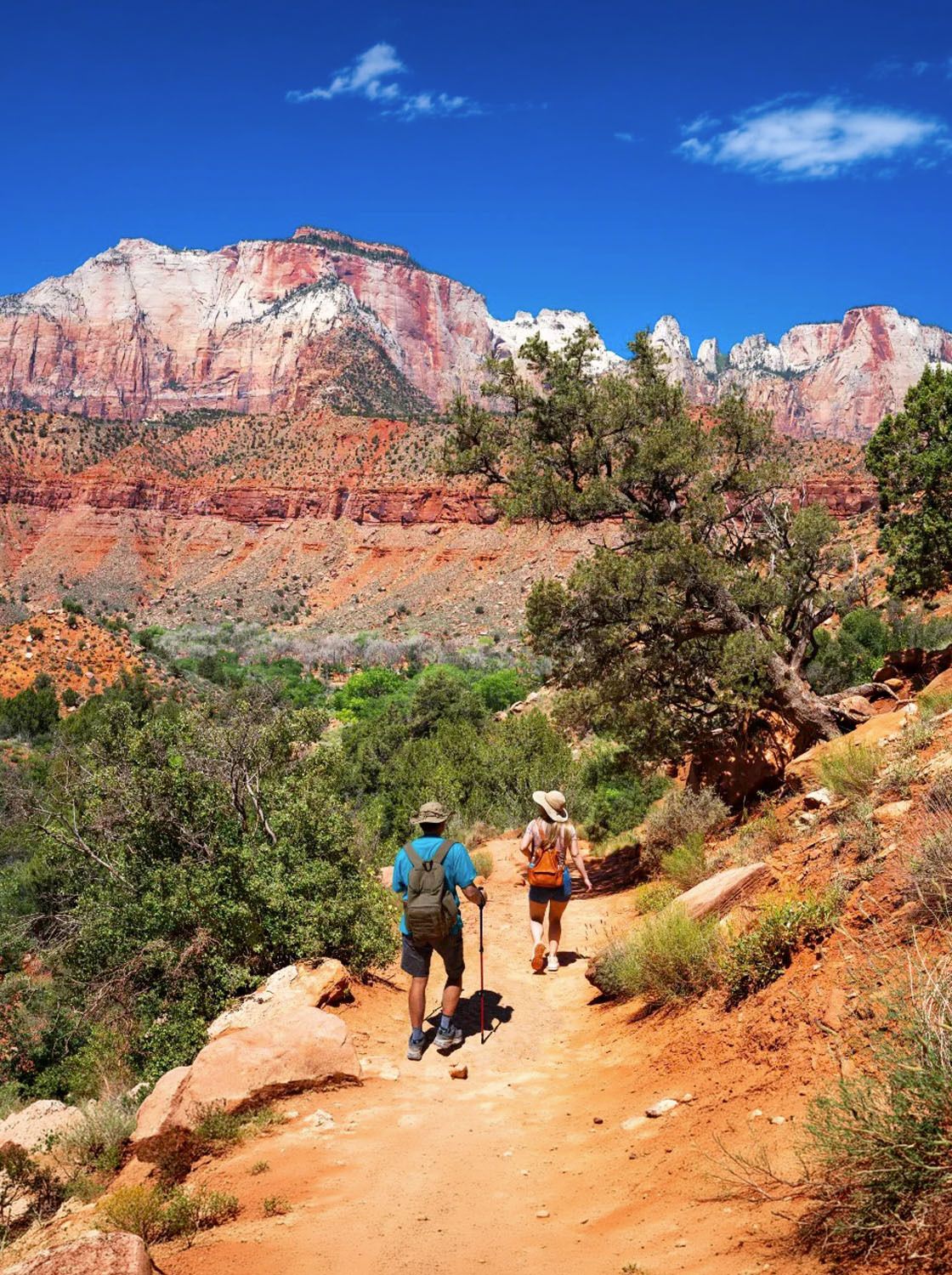 Hikers walking on a scenic trail with rugged red cliffs and clear blue skies in a desert landscape.