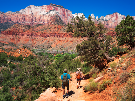 Hikers on a red dirt trail in Zion National Park, surrounded by green bushes and red rock cliffs under a clear blue sky.