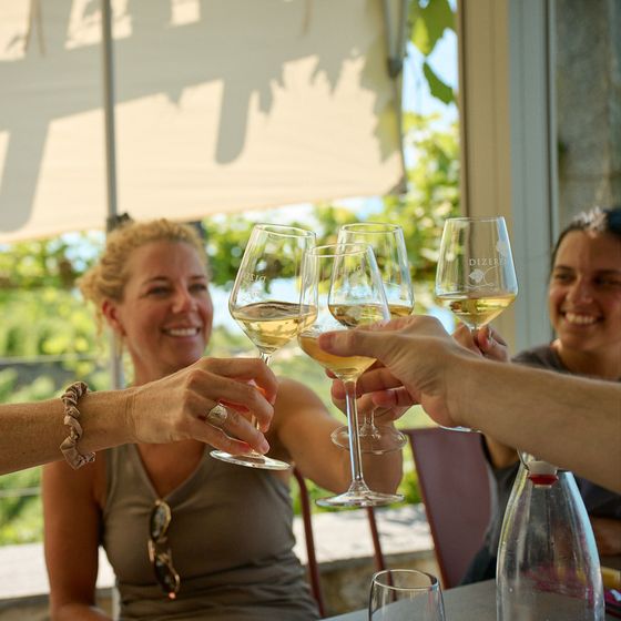 Group of friends toasting with wine glasses outdoors, smiling and enjoying a sunny day under a canopy.