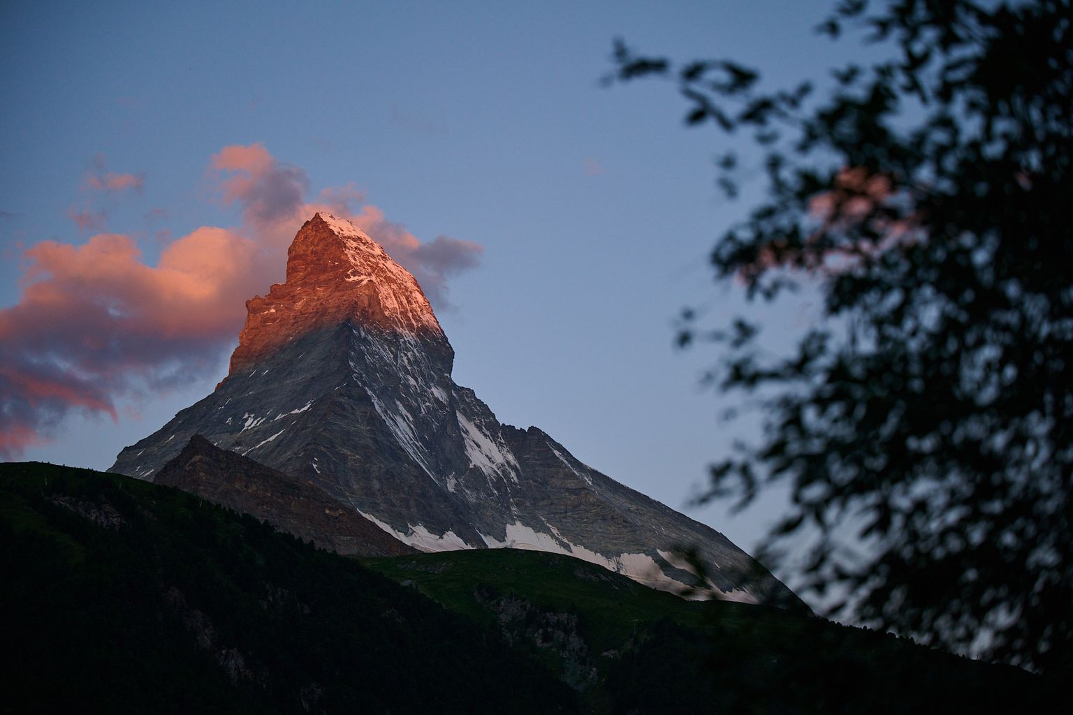 Snow-capped Matterhorn peak glows orange in sunset light, with silhouetted tree branches framing the view against a clear sky.
