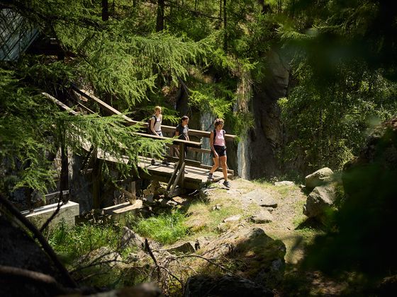 Three people walk across a wooden bridge in a lush forest setting, surrounded by tall trees and rocky terrain under sunlight.