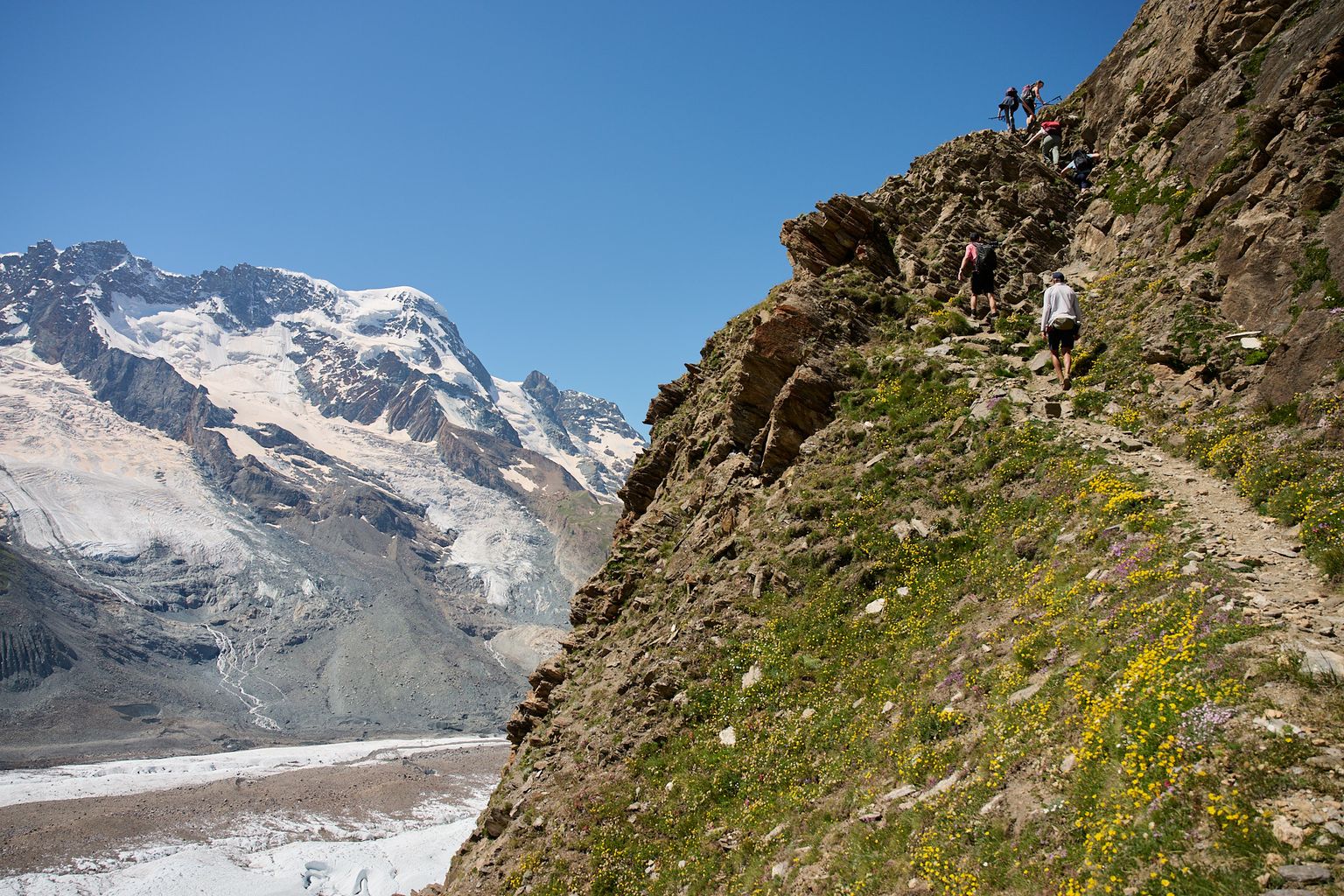 Hikers traverse a narrow mountain trail with a view of snow-capped peaks and a glacier under a clear blue sky.