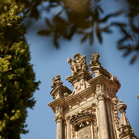Ornate cathedral facade with statues and decorative columns in sunlight, framed by tree branches and leaves from below.