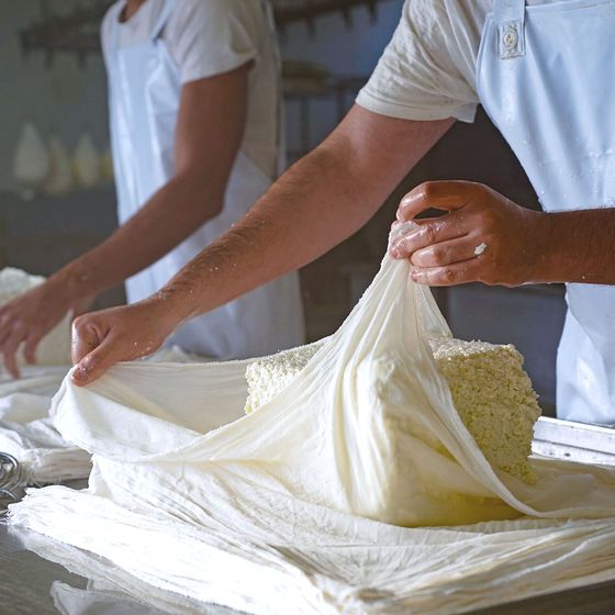 Two people in aprons handle and wrap fresh cheese blocks in a dairy processing facility.