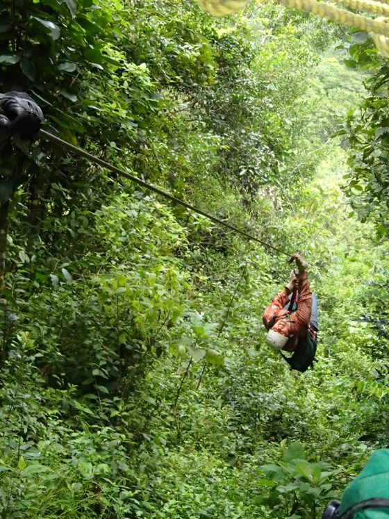 A person in colorful attire rides a zipline through dense, lush green jungle foliage.